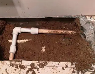 寻乌测漏水哪家好