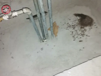 寻乌卫生间测漏水价格明细